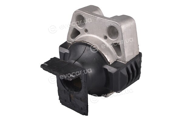 Tedgum TED75083