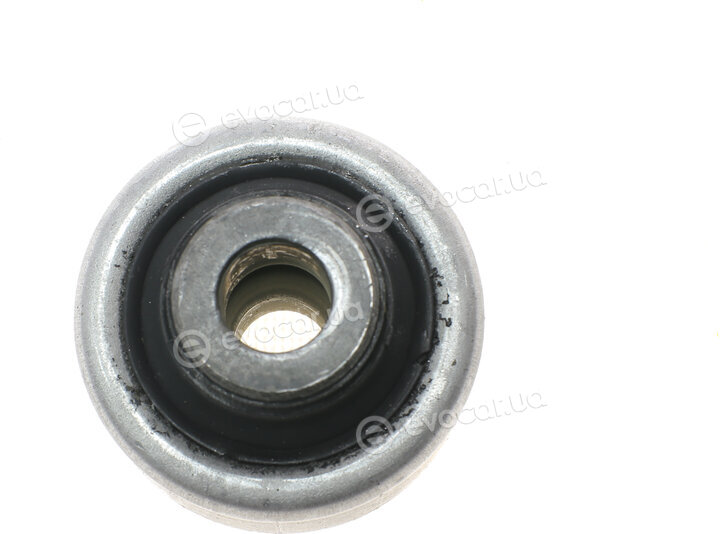 Hutchinson 562135
