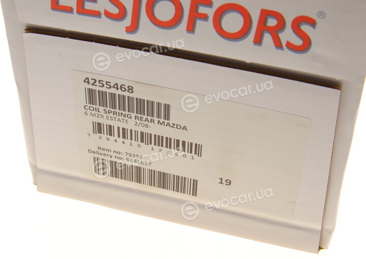 Lesjofors 4255468