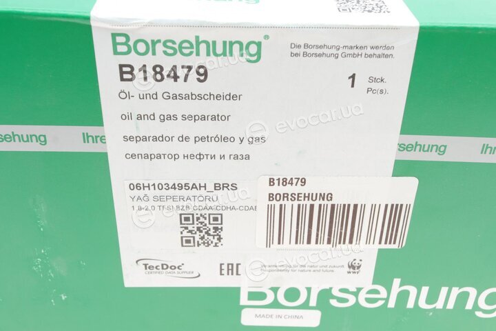 Borsehung B18479