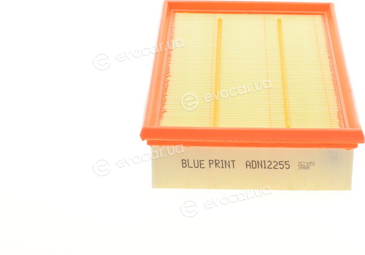 Blue Print ADN12255