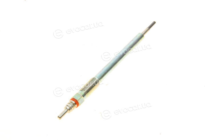 Bosch F 01G 004 031