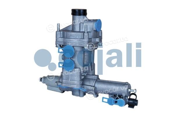 Cojali 2320301