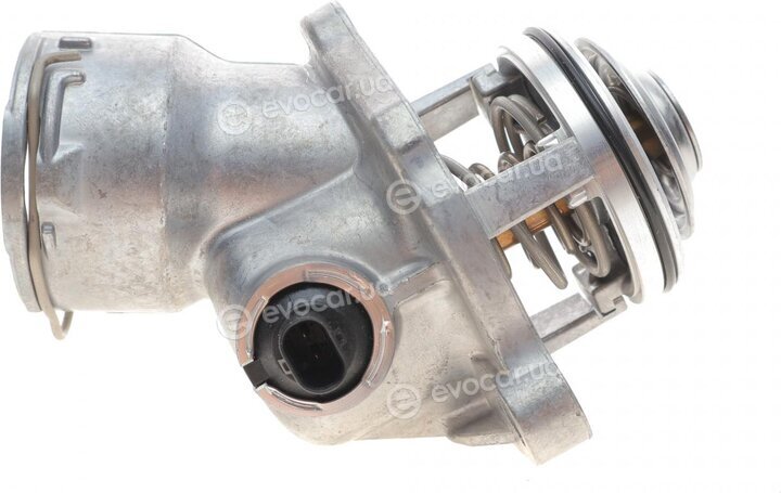 Wahler / BorgWarner 4833.100D