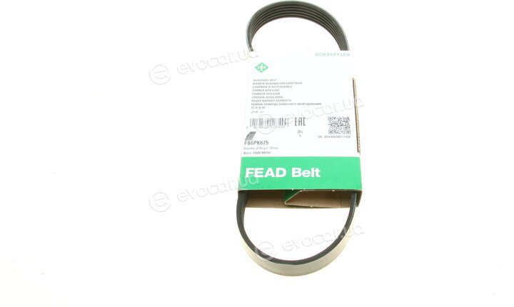 INA FB 6PK675