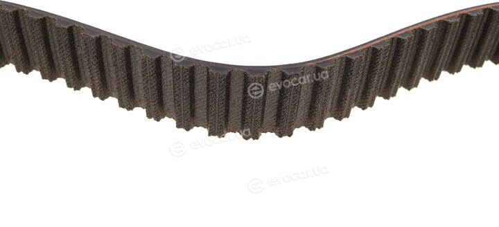 Gates K025557XS