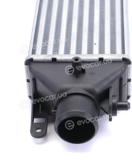 Mahle CI 427 000S