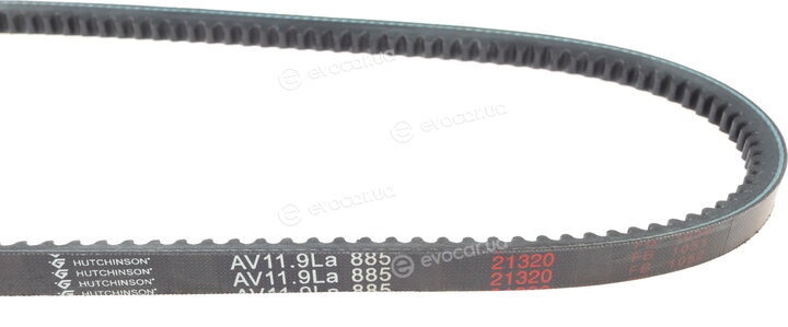 Hutchinson AV 11.9 La 885