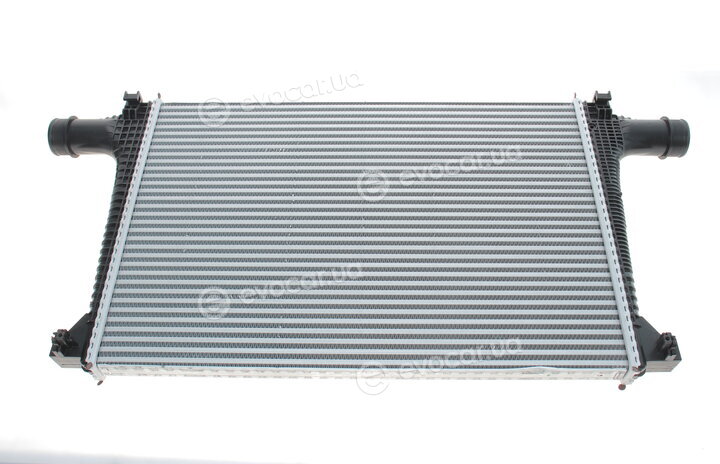 Mahle CI 711 000P