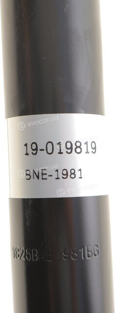 Bilstein 19-019819