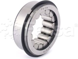 Fersa F 19005