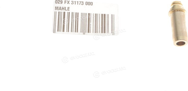 Mahle 029 FX 31173 000