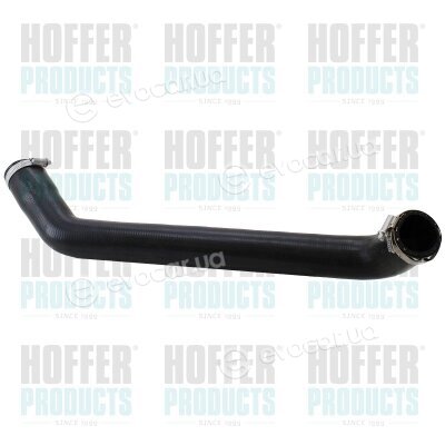 Hoffer 961087
