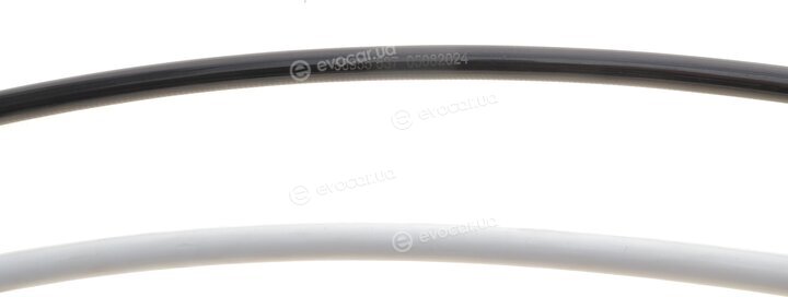 AIC 58955