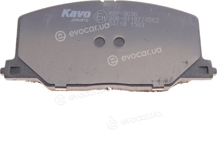 Kavo KBP-9036