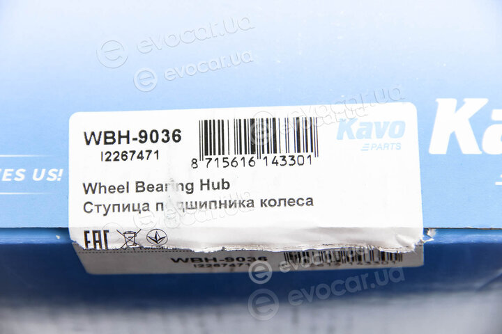 Kavo WBH-9036