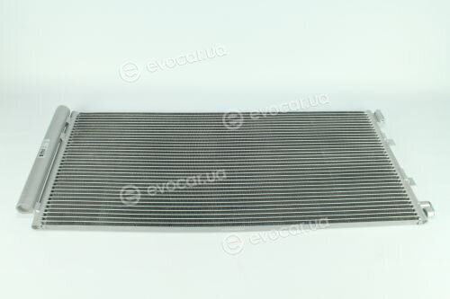 Kale 342560