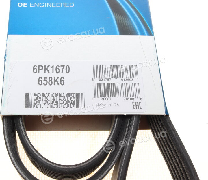 Dayco 6PK1670