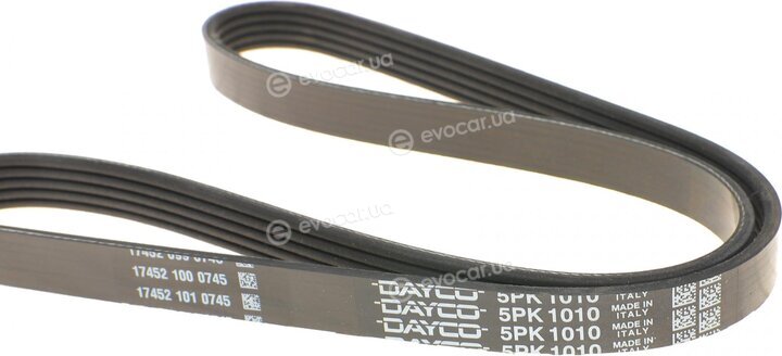 Dayco 5PK1010HD