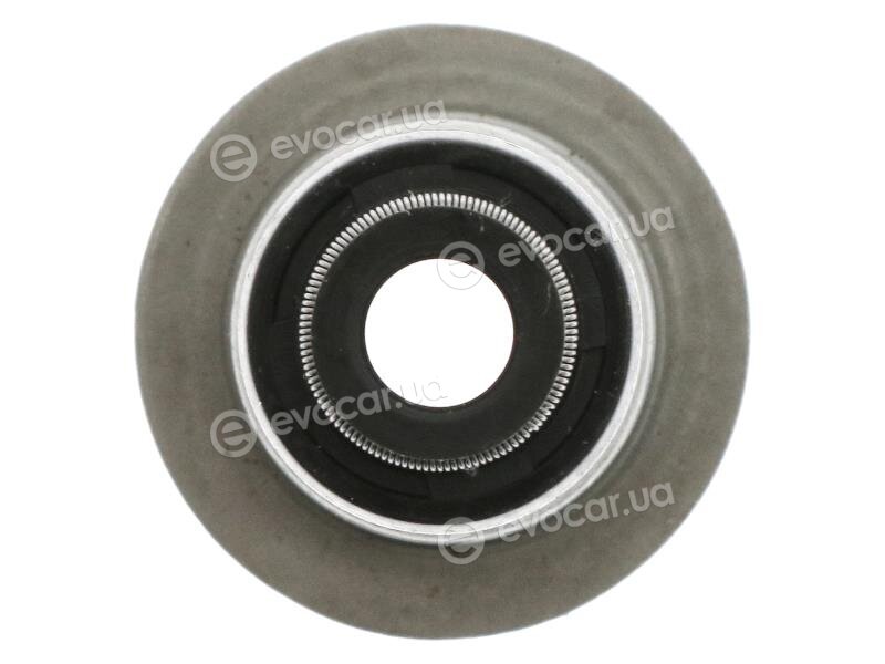 Starline GA 6502