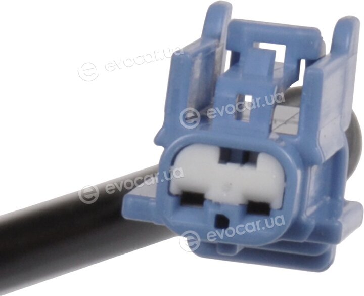 Blue Print ADN17117C