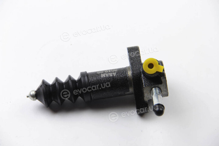 Asam 50025
