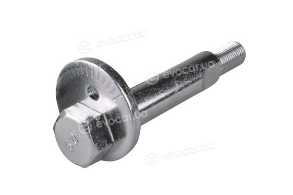 Tedgum TED49546