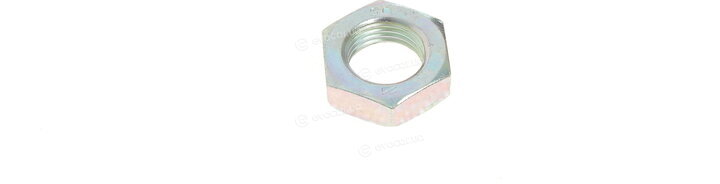 RTS 91-01482-210