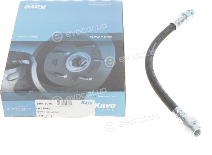 Kavo BBH-3085