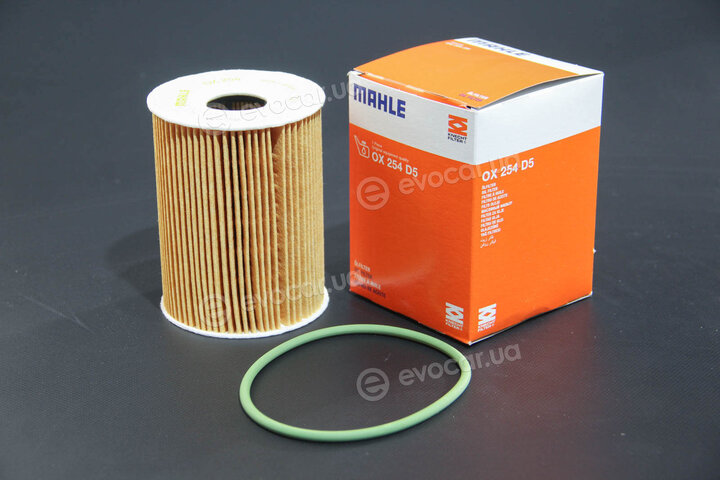 Mahle OX 254D5