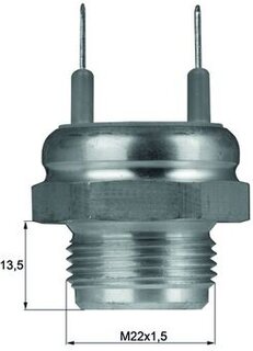 Mahle TSW 6