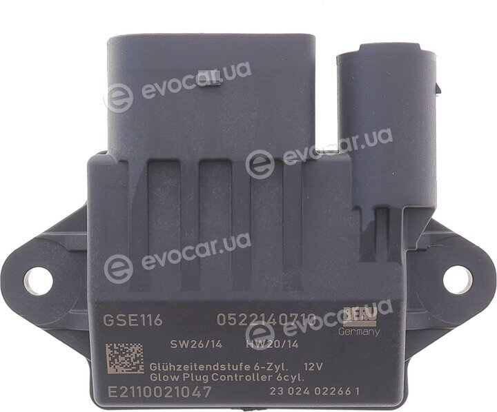Beru GSE116