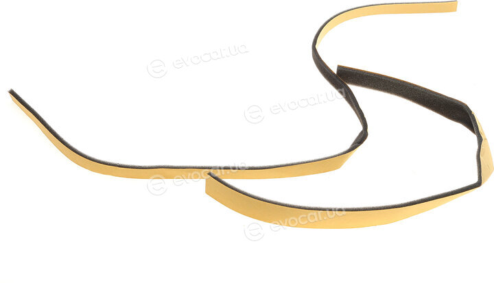 NRF 53561