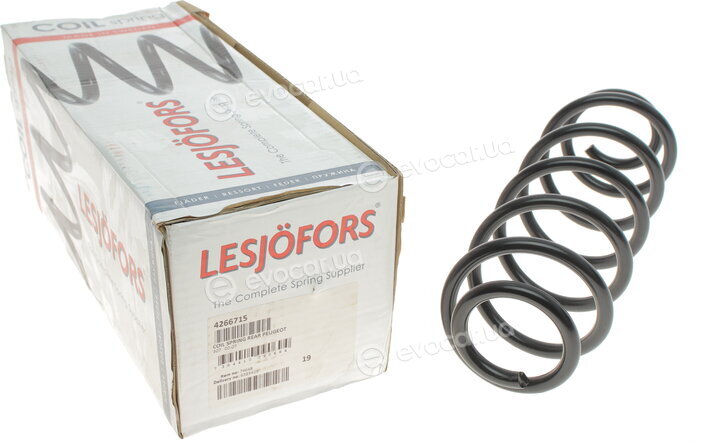 Lesjofors 4266715