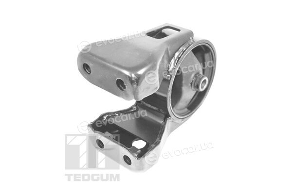 Tedgum TED52771