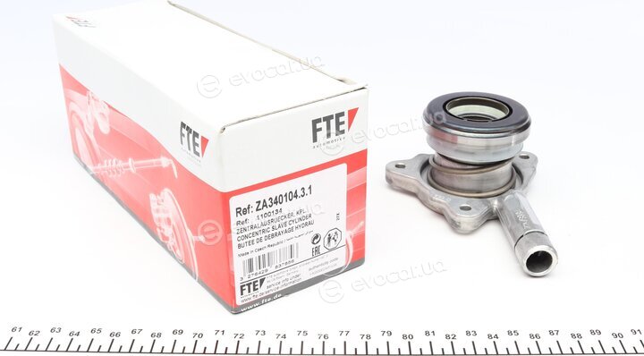 FTE 1100134