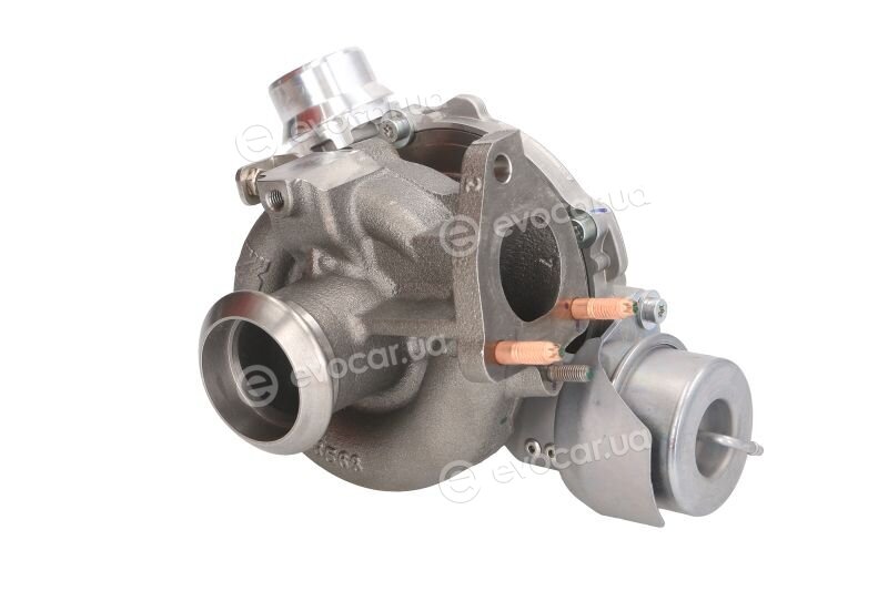BorgWarner 54389880006