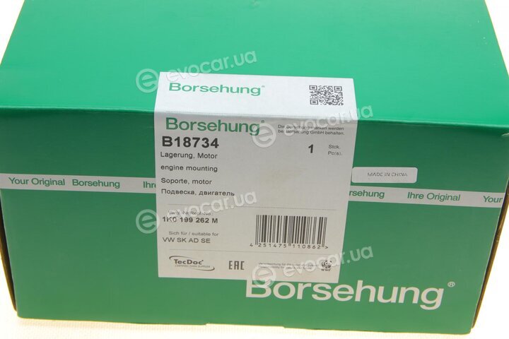 Borsehung B18734