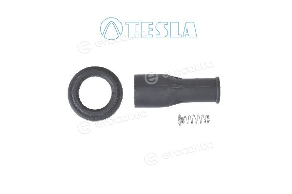 Tesla CP079