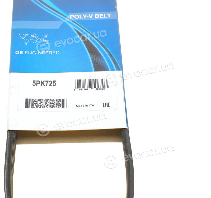 Dayco 5PK725