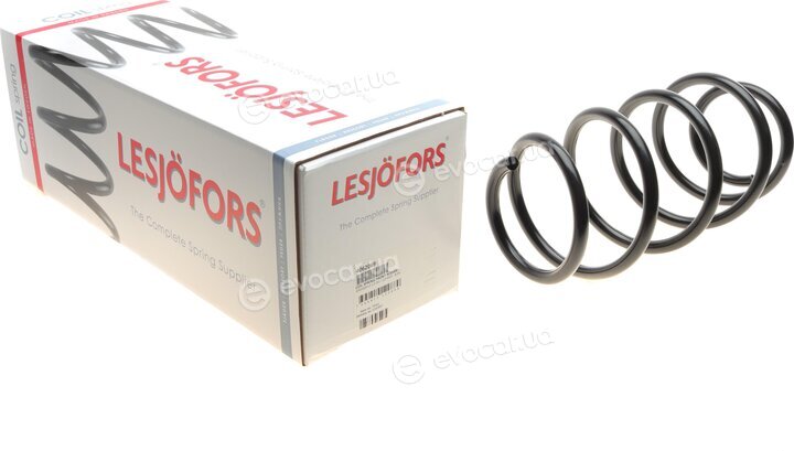 Lesjofors 4062069
