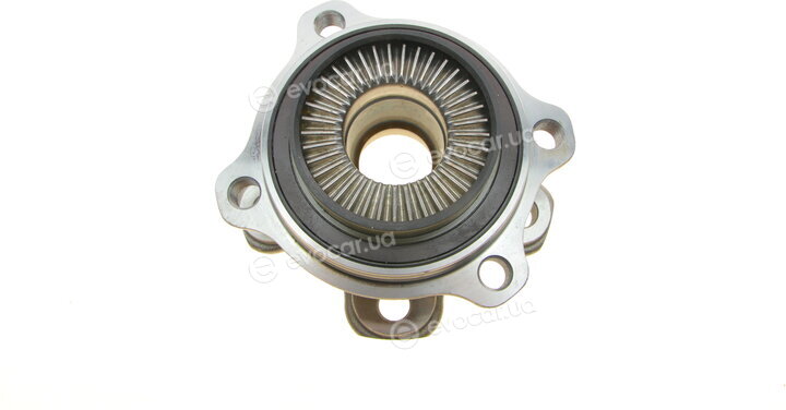 Borsehung B11293