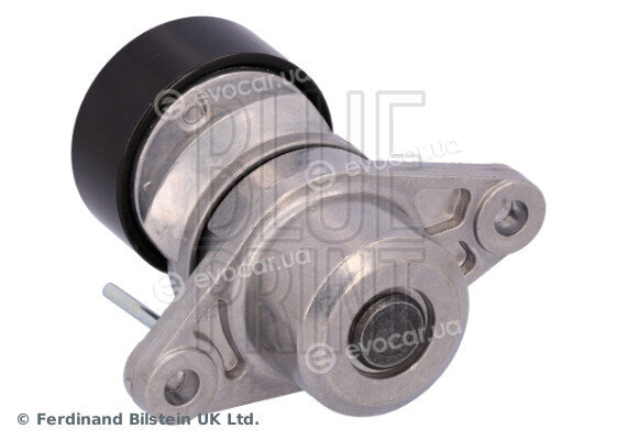 Blue Print ADBP960132