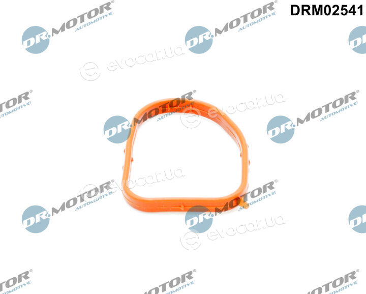 Dr. Motor DRM02541