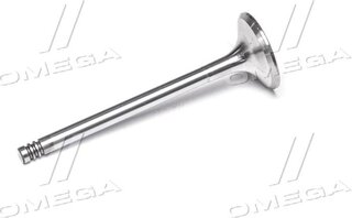 Gunes 4038
