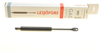 Lesjofors 8108407