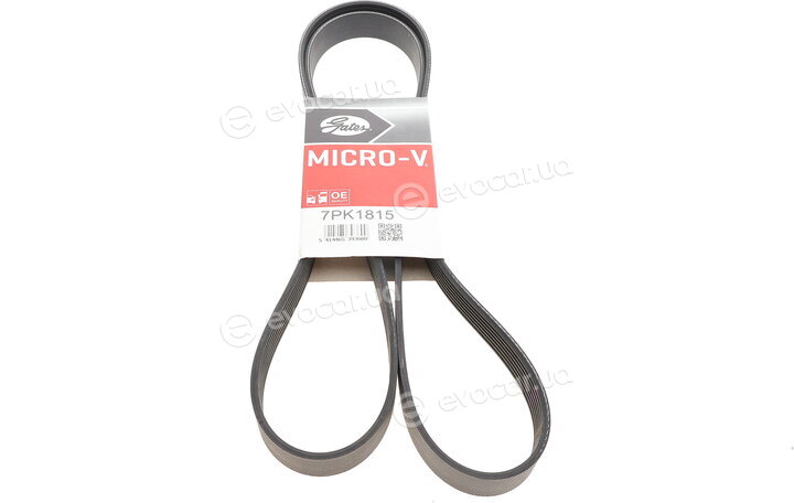 Gates 7PK1815