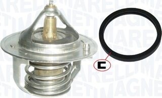 Magneti Marelli 352317101760