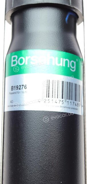 Borsehung B19276