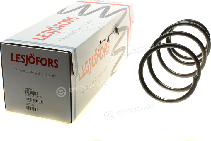 Lesjofors 4088316